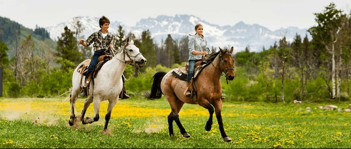 Confident plus-size woman riding Weston Super Mare a horse through a field with a smile on her face.